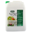 Apetit 菜籽油 (绿盖) 10L | Apetit Rypsioil 10L