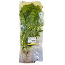 Thai Coriander 80g/100g/pkt | 泰国袋装香菜 80g/100g/把