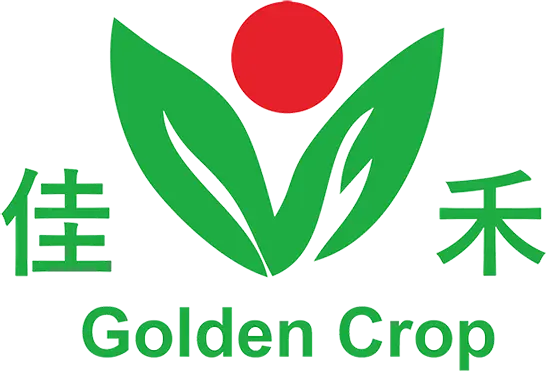 GC supermarket B2C Test